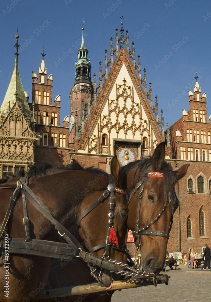 Obraz premium poland wroclaw town hall