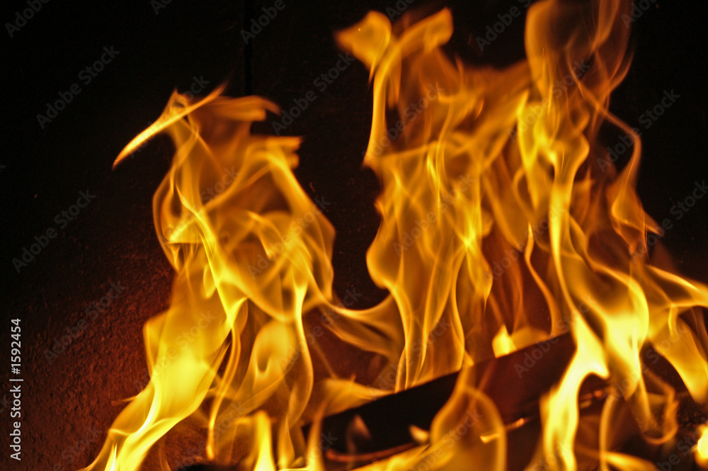 Fototapeta premium flammen #0249