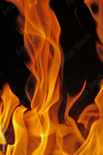 Wallpaper Mural flammen #0208 Torontodigital.ca