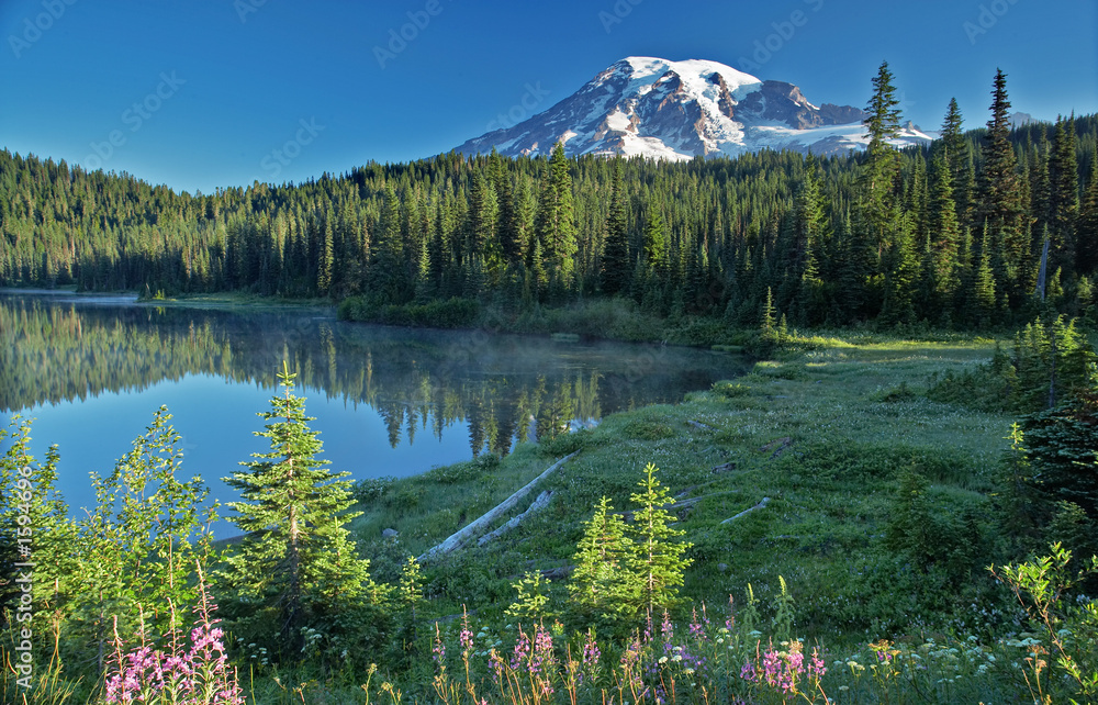 Naklejka premium mt. rainier early morn
