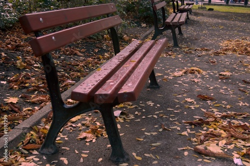 dark red bench in the park