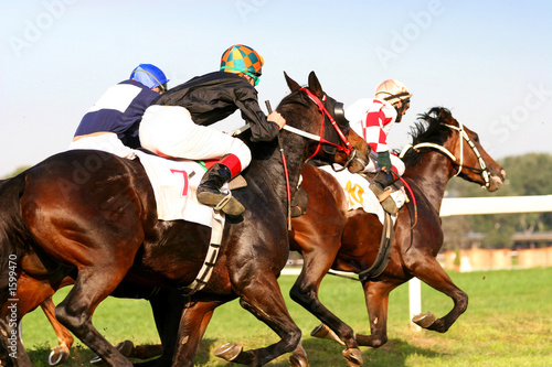 Fotografiet thoroughbred horserace