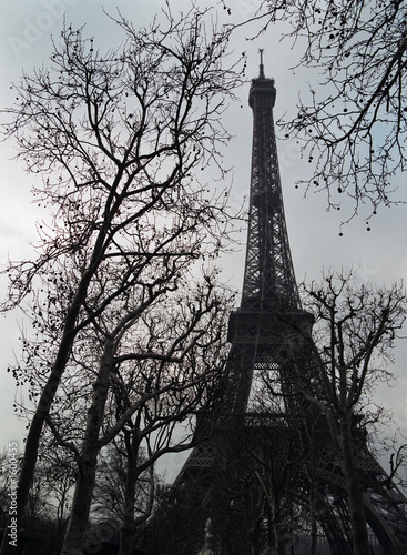 eifel