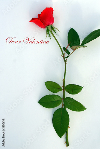 dear valentine photo