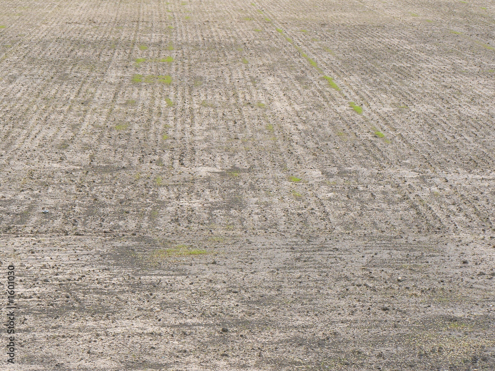 Obraz premium new growth