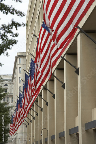 fbi with flags