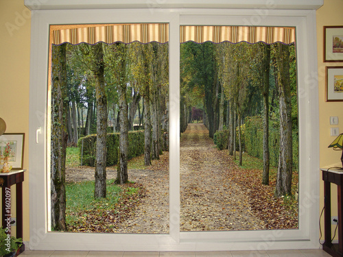 Carta da parati allée de peupliers