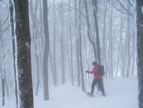 snow shoeing