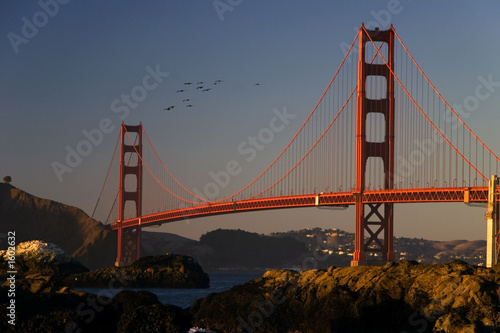Most Golden Gate w San Francisco w Kalifornii
