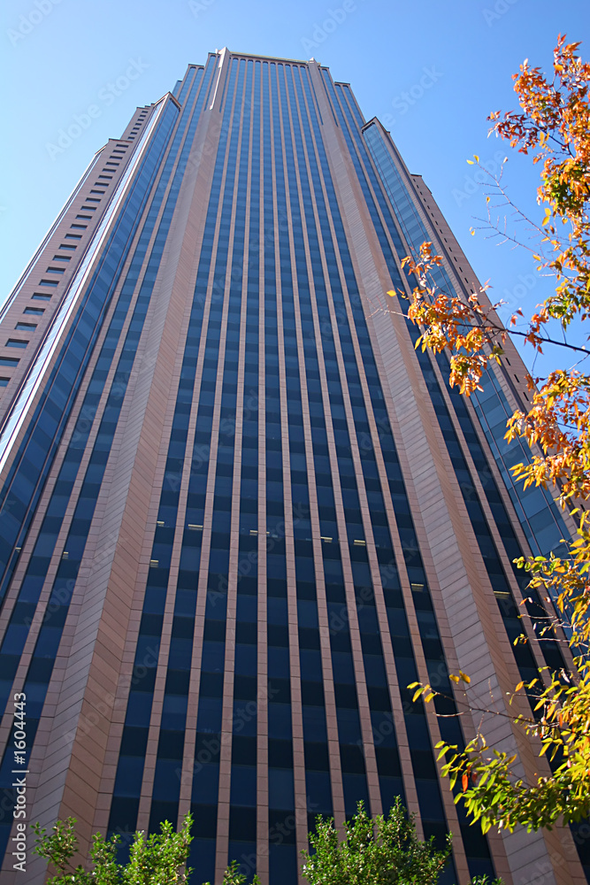 Obraz premium skyscraper 2