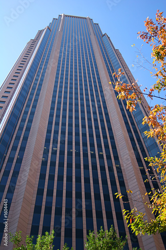 skyscraper 2