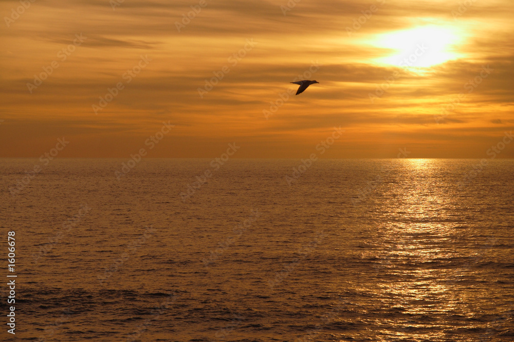 reflet d'un coucher de soleil sur la mer reflet d'un coucher de soleil sur la mer