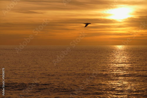 reflet d'un coucher de soleil sur la mer © galam