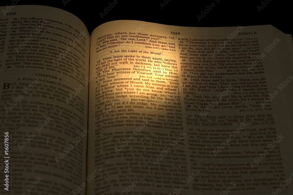 Fototapeta premium the light of the world -3