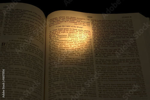 the light of the world -3
