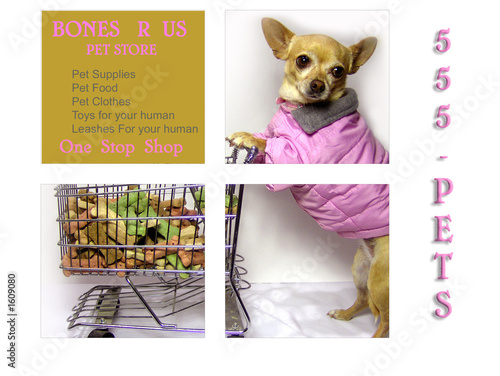 bones r us