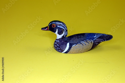 wood duck photo