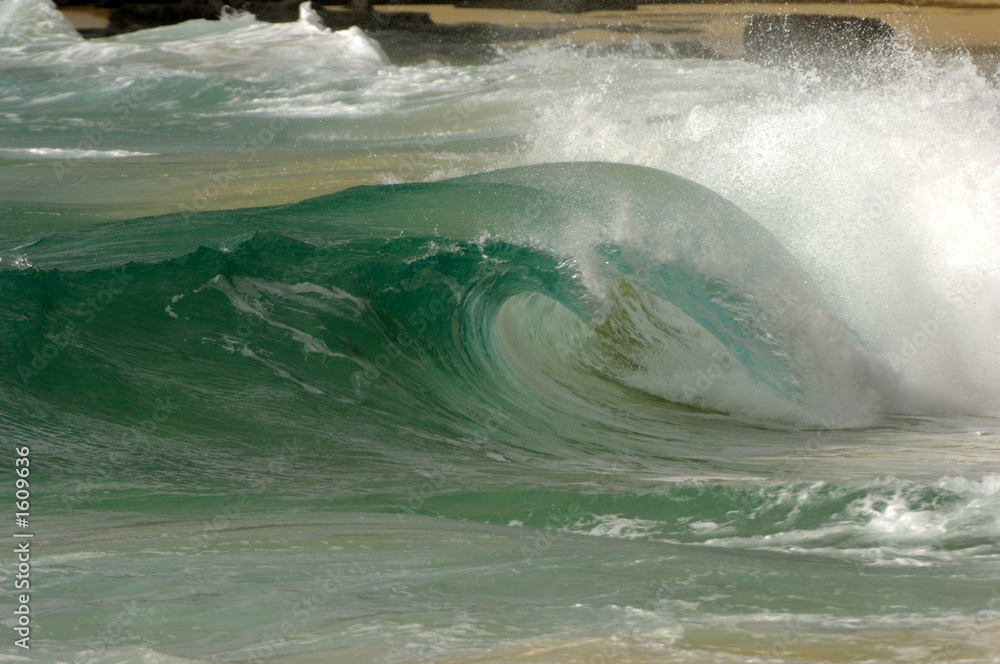 Fototapeta premium wave