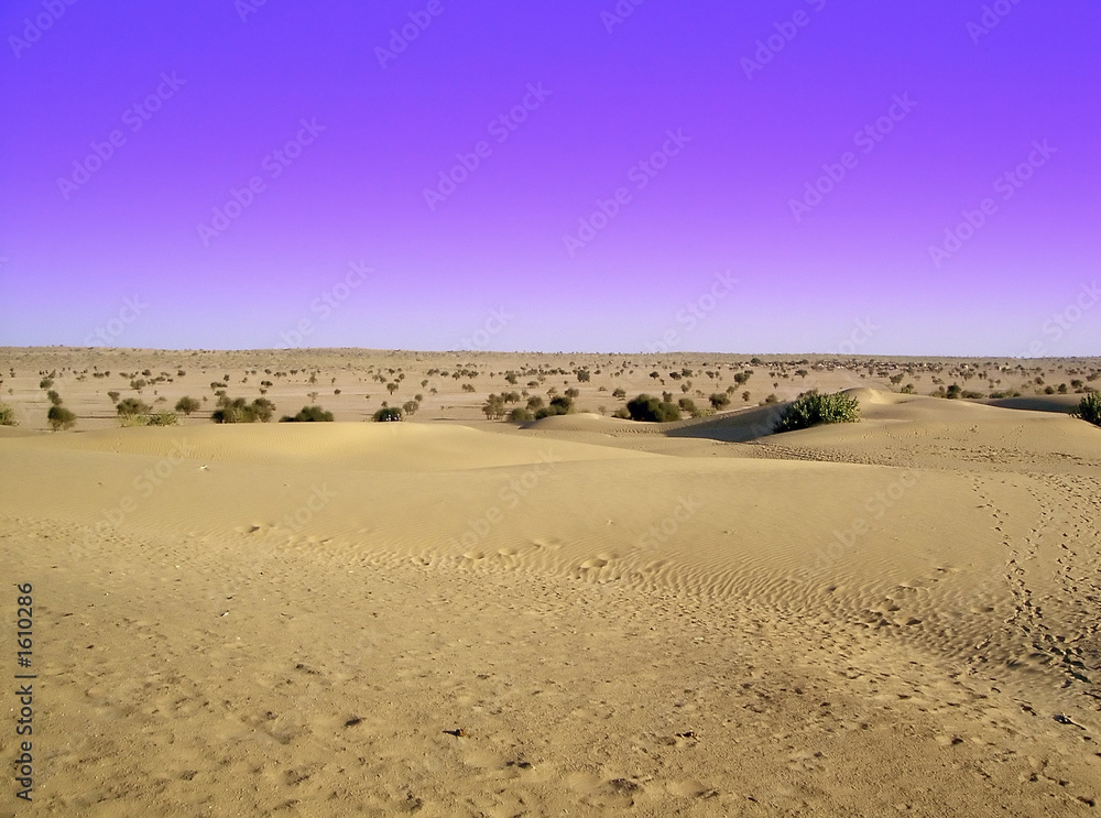 desert blues desert blues