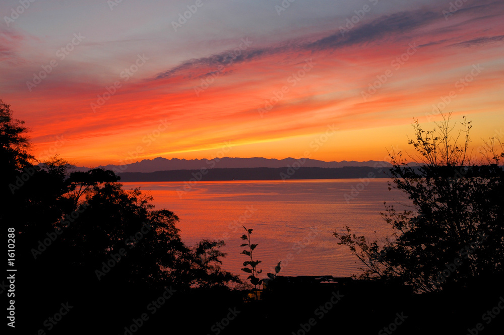 puget sound seattle puget sound seattle