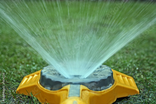 garden sprinkler