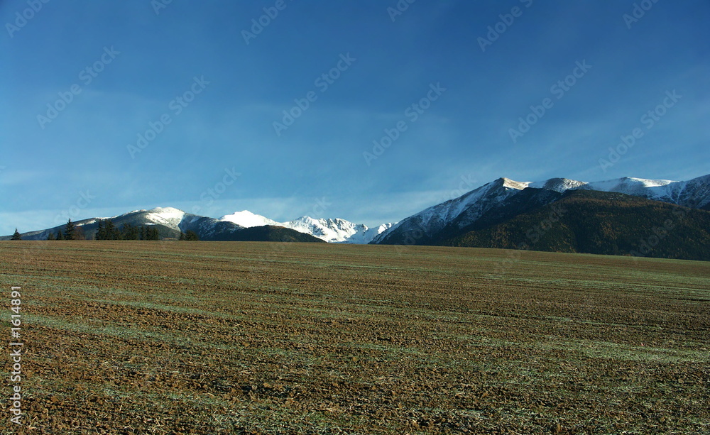 Fototapeta premium winterfrucht unter berge