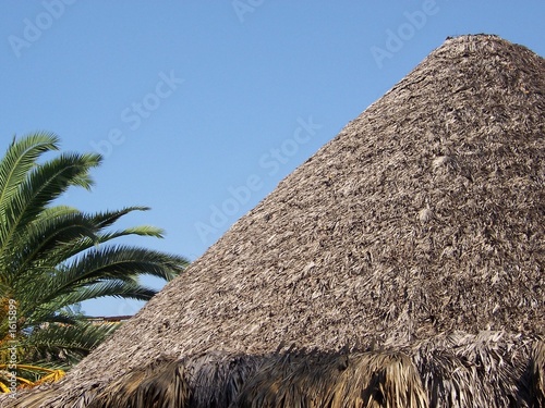 hut