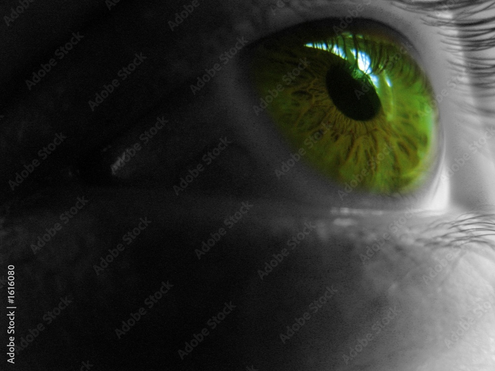 Naklejka premium eye green