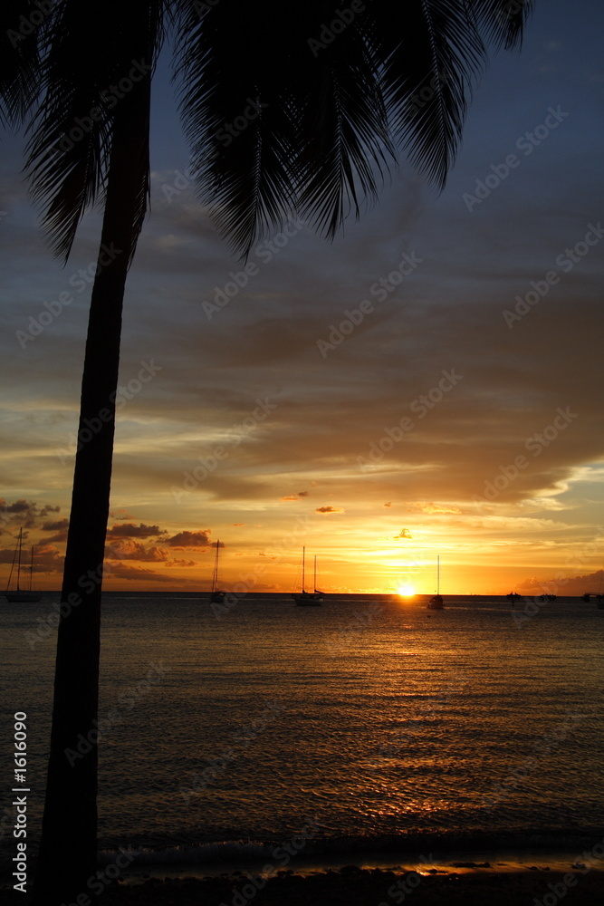 caribbean sunset