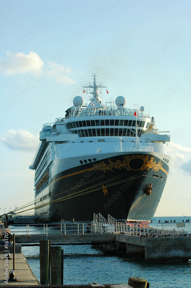 anchored cruise ship