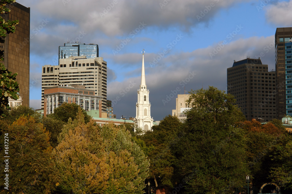 Fototapeta premium park street steeple at sunset