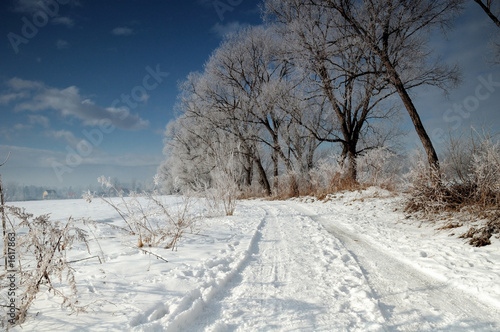 Wallpaper Mural winter Torontodigital.ca