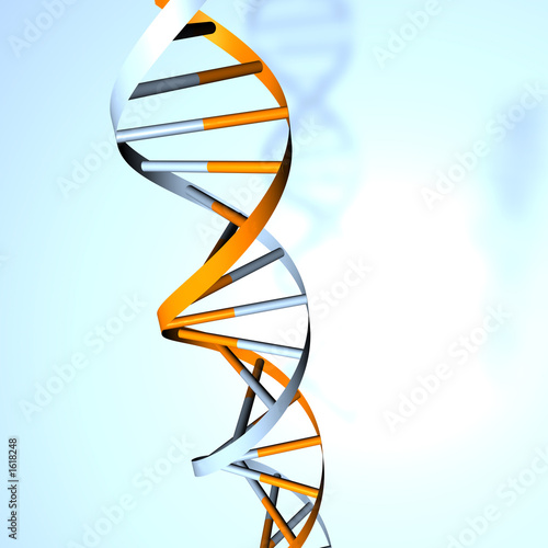 dna doppel helix