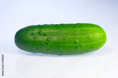 gurke ao_061016_3466.cr2