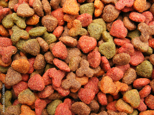 Fotografie cats (dogs) food detail close-up