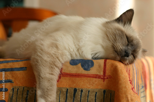 l'heure de la sieste