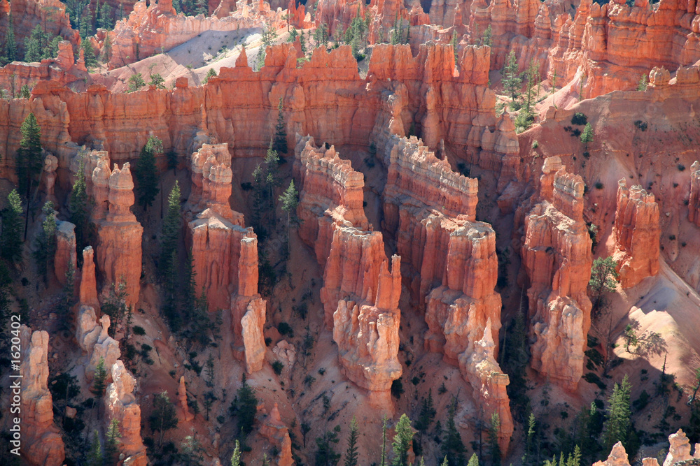 unique rock formations at bryce canyon