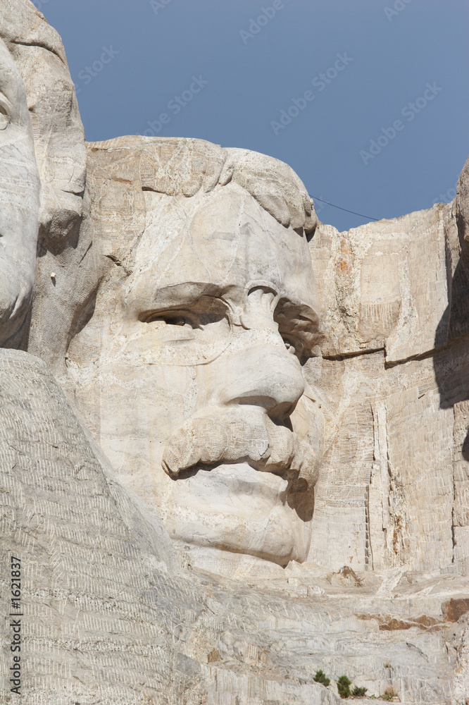 theodore roosevelt - mount rushmore national memor