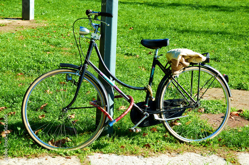 bicycle photo