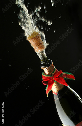 champagne bottle ready for celebration © Julián Rovagnati