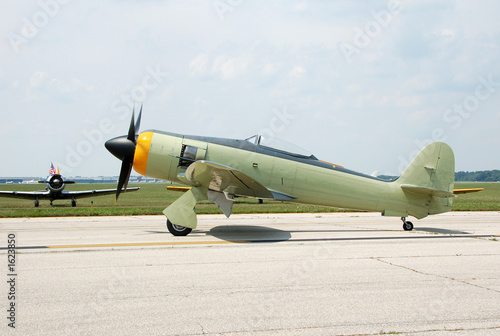 world war era hawker sea fury airplane