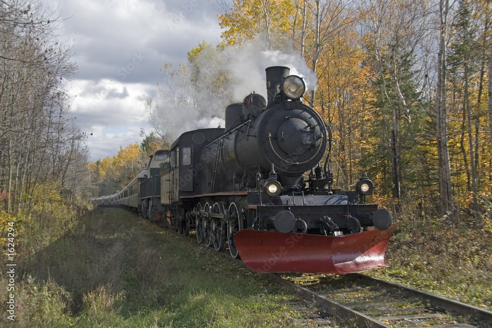 Obraz premium steam train