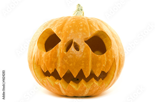 pumpkin isolated