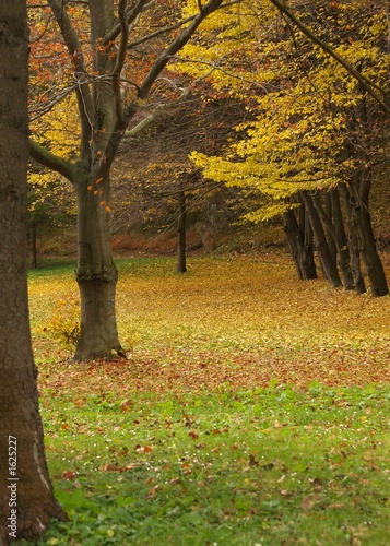 park in autumn