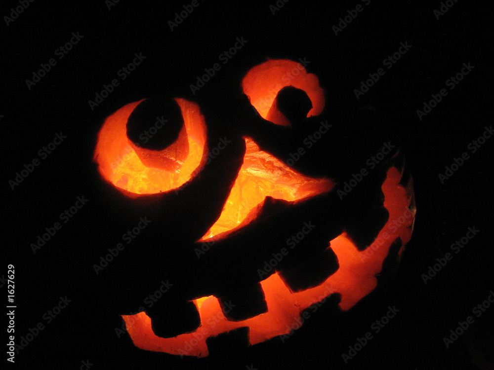 Fototapeta premium sillyjack