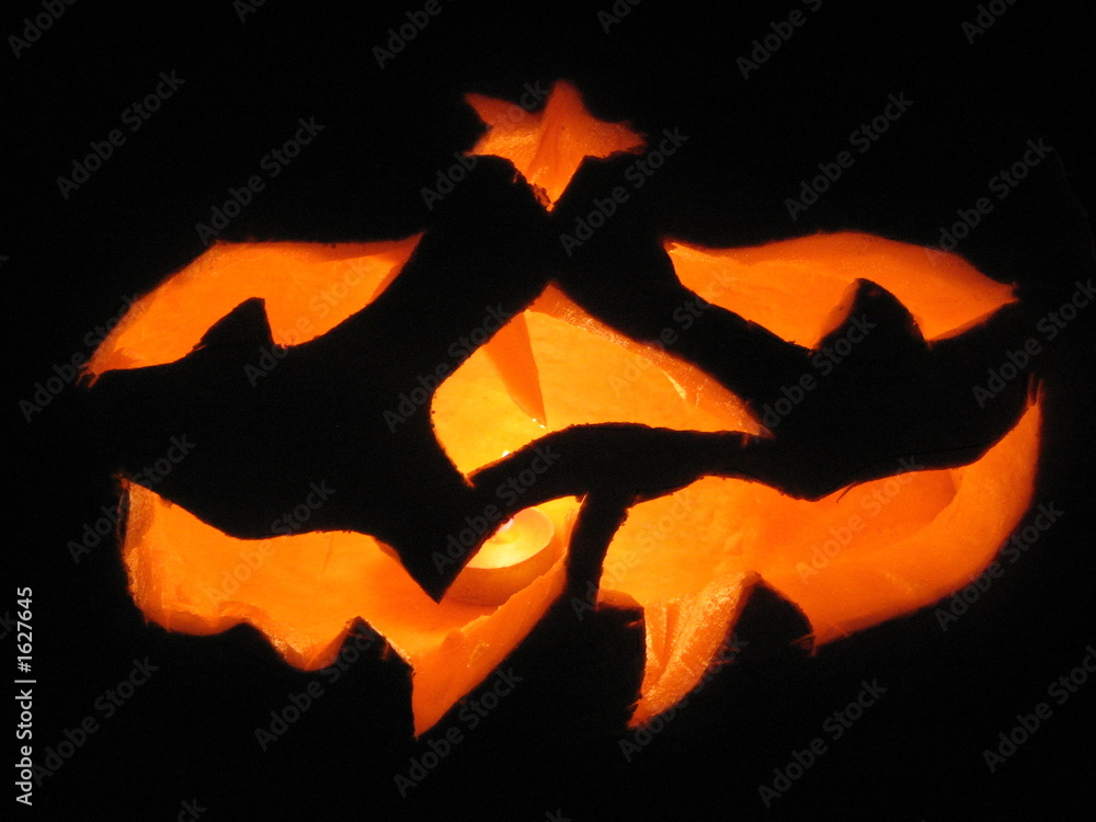 Fototapeta premium sillyjack2