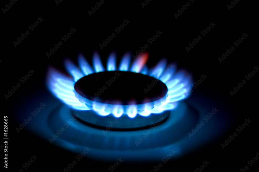 gas cooker gas cooker