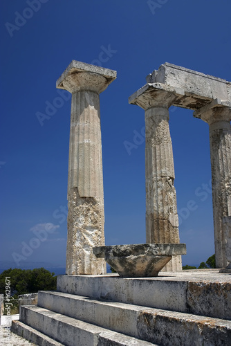 aphaia
