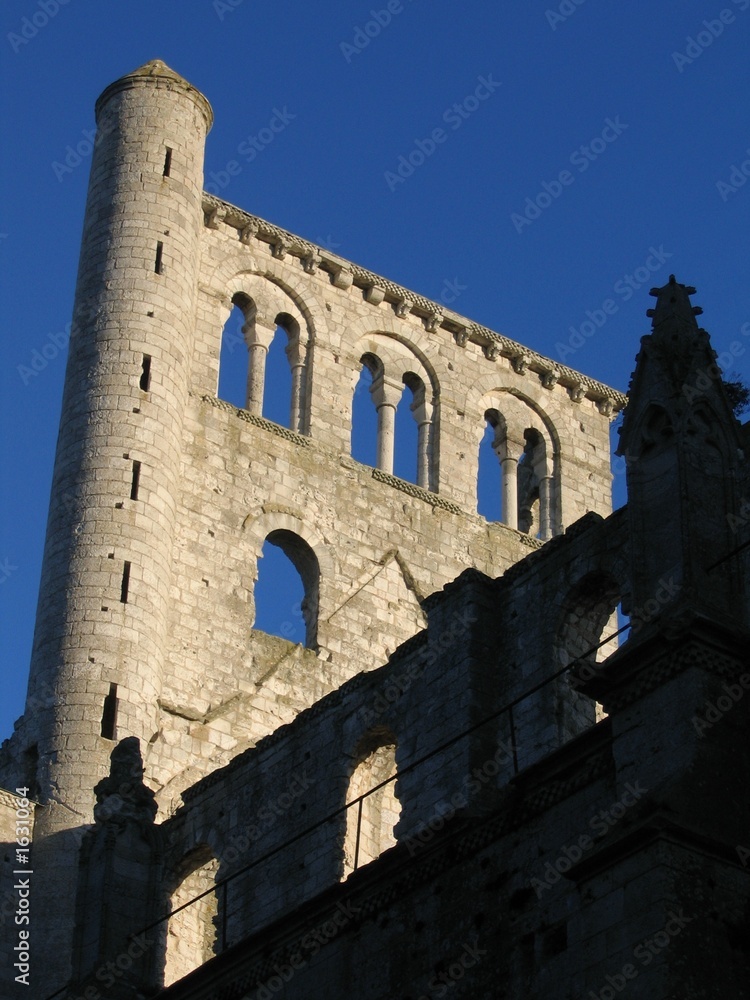 abbaye de jumièges : ruine romantique