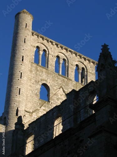 abbaye de jumièges : ruine romantique